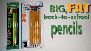 Back-to-Scool Pencil Review: Pen + Gear Learner's Pencil