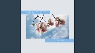 Abloom