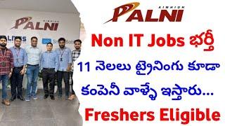 Palni India Pvt Ltd Hiring Freshers