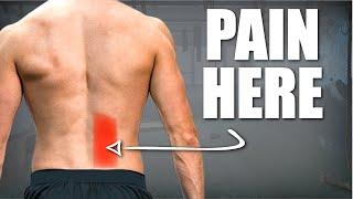Lower Back Pain Cause, Stretches & Exercises (+ Free Program)