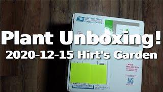 Plant Unboxing 2020 12 15 Hirt's Garden