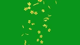 Flowers Falling Animation Black Screen Effect | Flowers Falling Animation Green Screen Free Effects