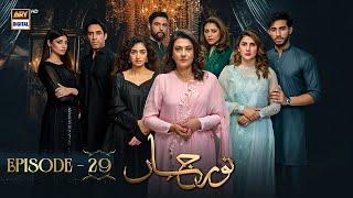 Noor Jahan Episode 29 | 31 August 2024 | ARY Digital