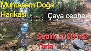 Balıkesir Gönen Harika Çaya cepheli Satılık Tarla 5000m2 Fiyat 1.850.000TL