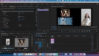How to Resize Images and Video - Premiere Pro CC 2021 (Easy Tutorial)