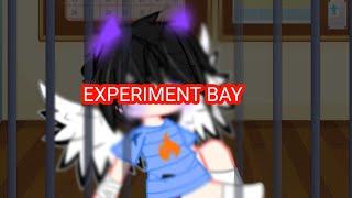 //•Experinet Bay•// YeosM Ships Bay x Pur Lang x Din Sac x Oti //mc animations meme //Pt 1 //