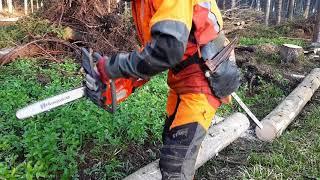 Husqvarna 135 Mark II chainsaw in the hands of a professional !!!