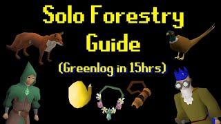 Solo Forestry Guide! (Greenlog in ~15 Hours)