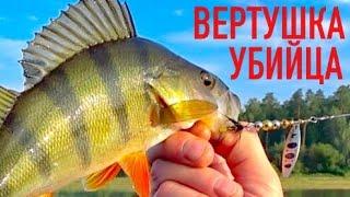 Ловля окуня на дешевую вертушку! Одна из лучших блесен для ловли окуня