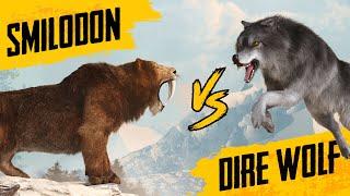 Sabertooth Tiger VS Dire Wolf - Size comparison