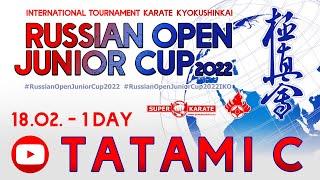 «Russian Open Junior Cup - 2022». ТАТАМИ  C (1 день)