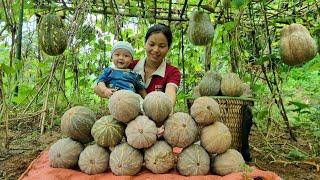 Harvest pumpkins and sell them at the market & Make steamed squash and meat to eat with your baby
