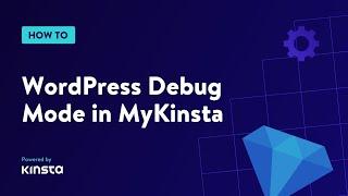 How to Enable WordPress Debug Mode in MyKinsta