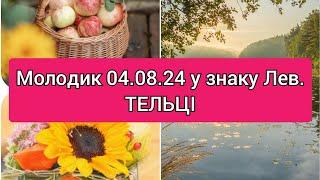 Молодик 04.08.24 у Леві. ТЕЛЬЦІ