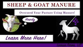 A Complete Guide to Sheep and Goat Manure Management!  Composting and Spreading Manure