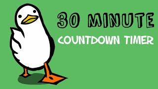 30 minute countdown timer | walking duck