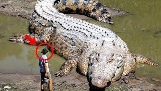 Biggest Animals Caught On Camera!