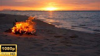 Beach Bonfire Ambience | Ocean Waves | Beach Sunset
