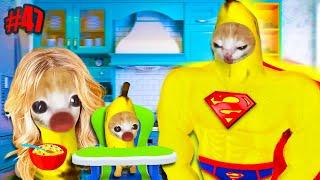 SUPER BANANA CAT COME BABY CAT HOUSE | Happy Cat Funny 47