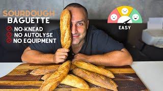 Sourdough Baguette  NO KNEAD l NO EQUIPMENT l  NO AUTOLYSE