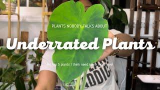 Plants Nobody Talks About || Underrated Plants || Plants That Should Be More Popular But Aren't