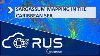 RUS Webinar: Sargassum Mapping in the Caribbean Sea - OCEA08