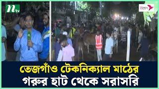 তেজগাঁও টেকনিক্যাল মাঠের গরুর হাট থেকে সরাসরি | NTV News