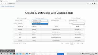 Angular 10 Datatable with Custom Filters