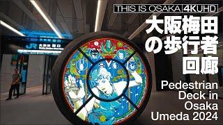 大阪梅田の歩行者回廊 Pedestrian Deck in Umeda Osaka 2024