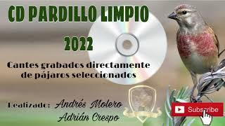 1º- CD PARDILLO LIMPIO 2022 (CANTES DIRECTAMENTE GRABADOS)  #chant #silvestrismo #linnote