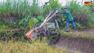 Joki Muda Pindahkan Traktor Sawah Langsung Lanjut Nyingkal Lahan Baru