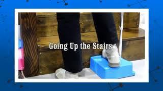 EZ Step Stair Climbing Cane