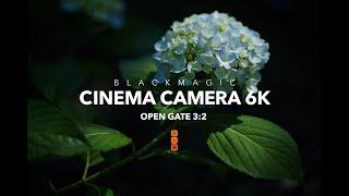 BLACKMAGIC CINEMA CAMERA 6K FULL FRAME | OPEN GATE 3:2 | GREENERY & COLOUR SATURATION IN THE CASTLE