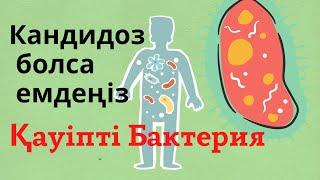 ЕҢ ЖАМАН БАКТЕРИЯ КАНДИДА/КАНДИДОЗ емдеу жолдары