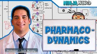 Pharmacodynamics