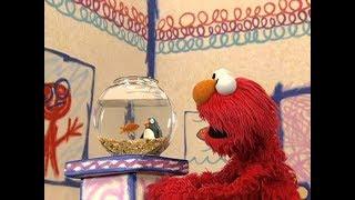 Elmo's World: Penguins (DVD Rip)