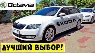 ШКОДА ОКТАВИЯ А7 - Лучший выбор?! Skoda Octavia A7