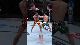 Perfect Boxing in UFC ‍ #ufc