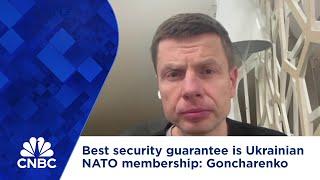 Best security guarantee is Ukrainian membership in NATO, says Ukraine's Goncharenko