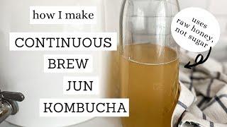 Continuous Brew Jun Tea Kombucha