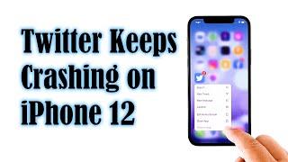 How To Fix Twitter That Keeps Crashing on iPhone 12