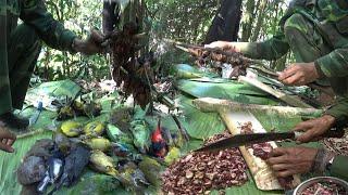 Birds Hunting and Cooking In The jungle/Yos hav zoov tua noog ci noj