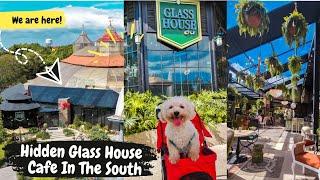 Hidden GLASS HOUSE Cafe In The South! | Alabang Palazzo Verde