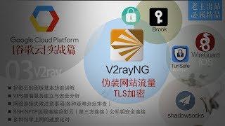 【GCP谷歌云3】实战篇[2019最安全最强加密翻墙科学上网],请喝茶,被查水表?V2ray使用TLS（HTTPS/SSL）伪装网站进出站流量,防止IP被封锁IP被墙（域名免费注册)