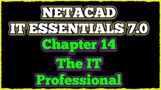 NETACAD IT Essentials 7.0, ️ Chapter 14: The IT Professional