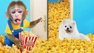 KiKi Monkey challenge shopping to make full of Popcorn house by The Floor Is Lava | KUDO ANIMAL KIKI