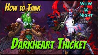 How to Tank Darkheart Thicket in WoW Dragonflight