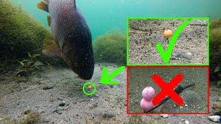 Why you must use pop ups over bottom baits!