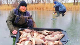 НЕБЕЗПЕЧНА РОЗДАЧА КРУПНИХ КАРАСІВ НА ЗИМОВУ ВУДКУ ПО ТОНКІЙ КРИЗІ