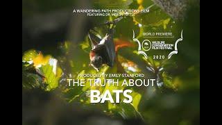 The Truth About Bats (Full Documentary)